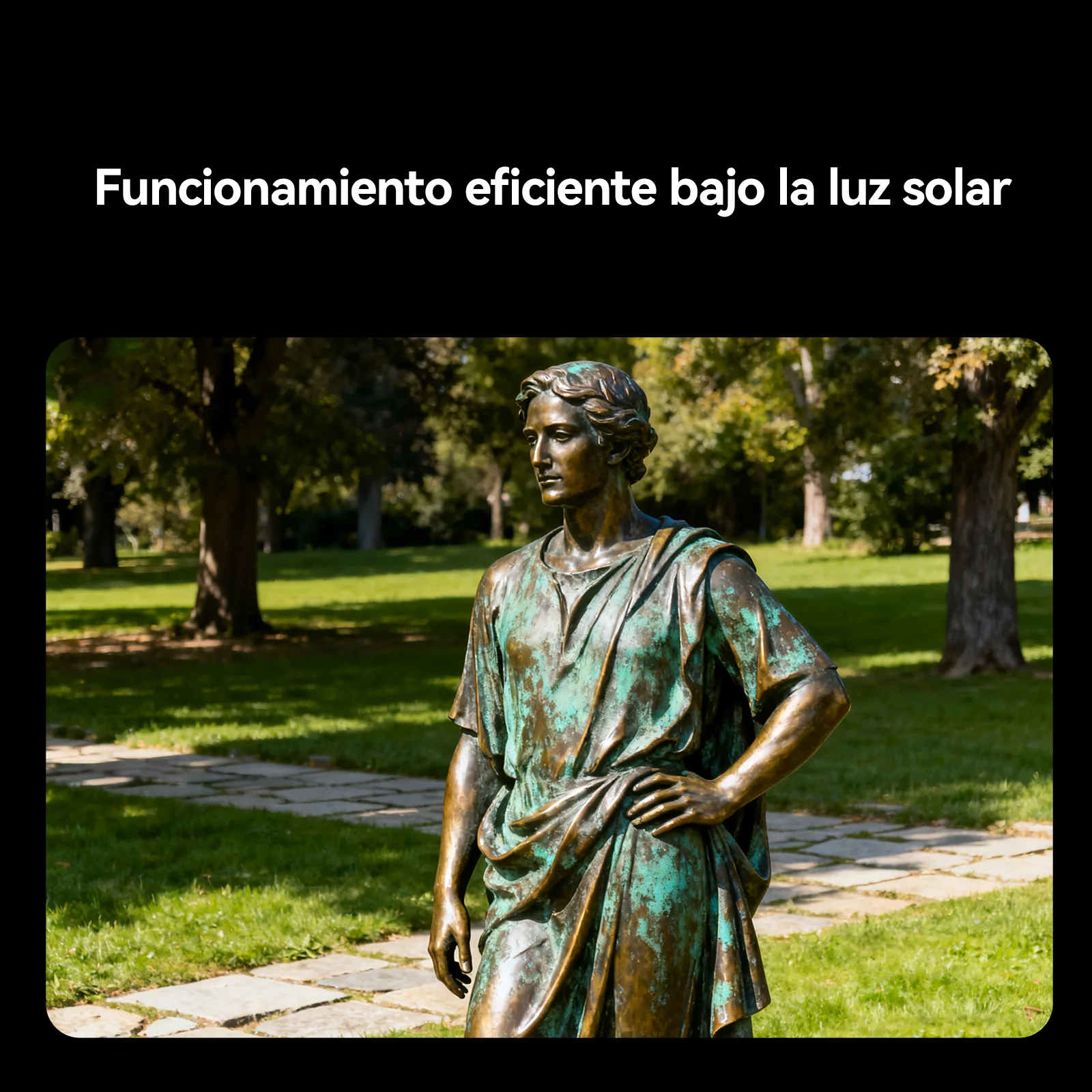 Imagen del producto 20